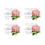 Carte Postale 4a White Cloud Transfer
