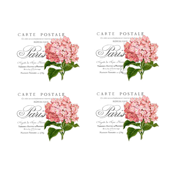 Carte Postale 4a White Cloud Transfer