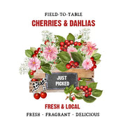 Cherries & Dahlias