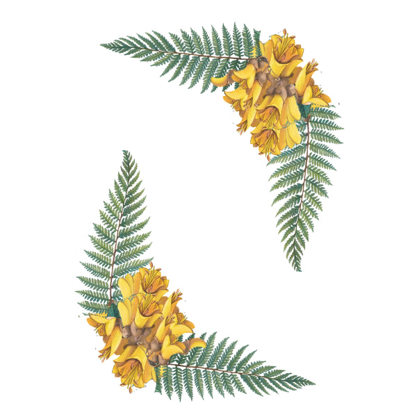Fern & Kowhai Corners White Cloud Transfers