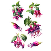 Fuchsia Excorticata White Cloud Decor Transfer