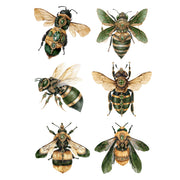Illustrations of green and yellow bees Green Bees White Cloud Decor Transfer
