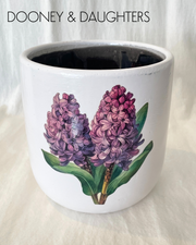 Large Pot - Hyacinth