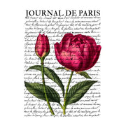 Journal De Paris II White Cloud Decor Transfer