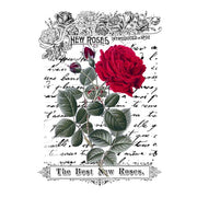 New Roses White Cloud Decor Transfer