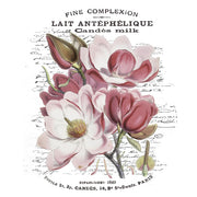 Pink Magnolia White Cloud Transfer