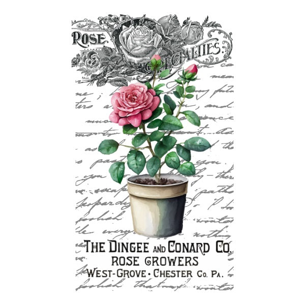 Rose Specialties White Cloud Decor Transfer