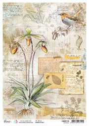 A4 Rice Paper - Botanical