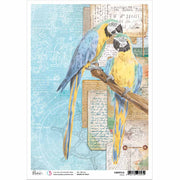 A4 Rice Paper - Anemone Garden