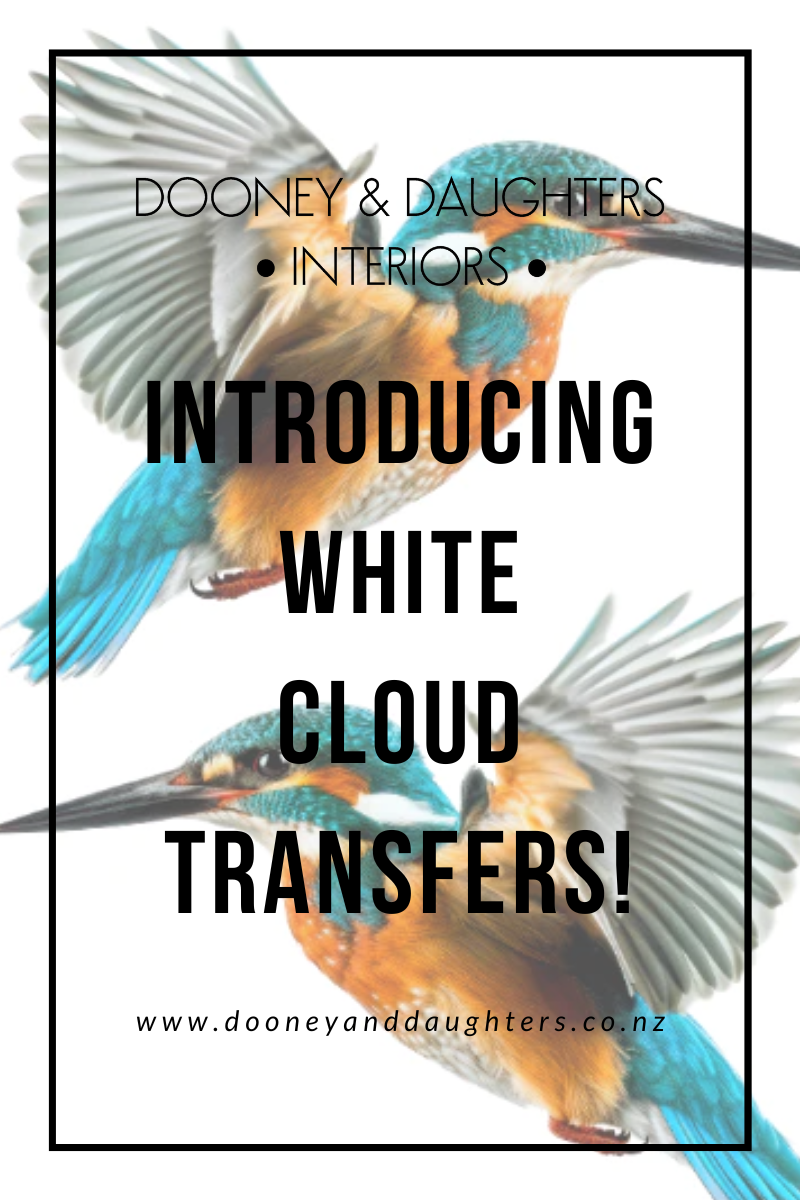 Introducing White Cloud Transfers!