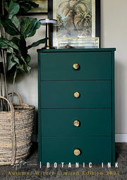 Cabinet painted in Botanic Ink Velvet Luxe – bold artisan green finish