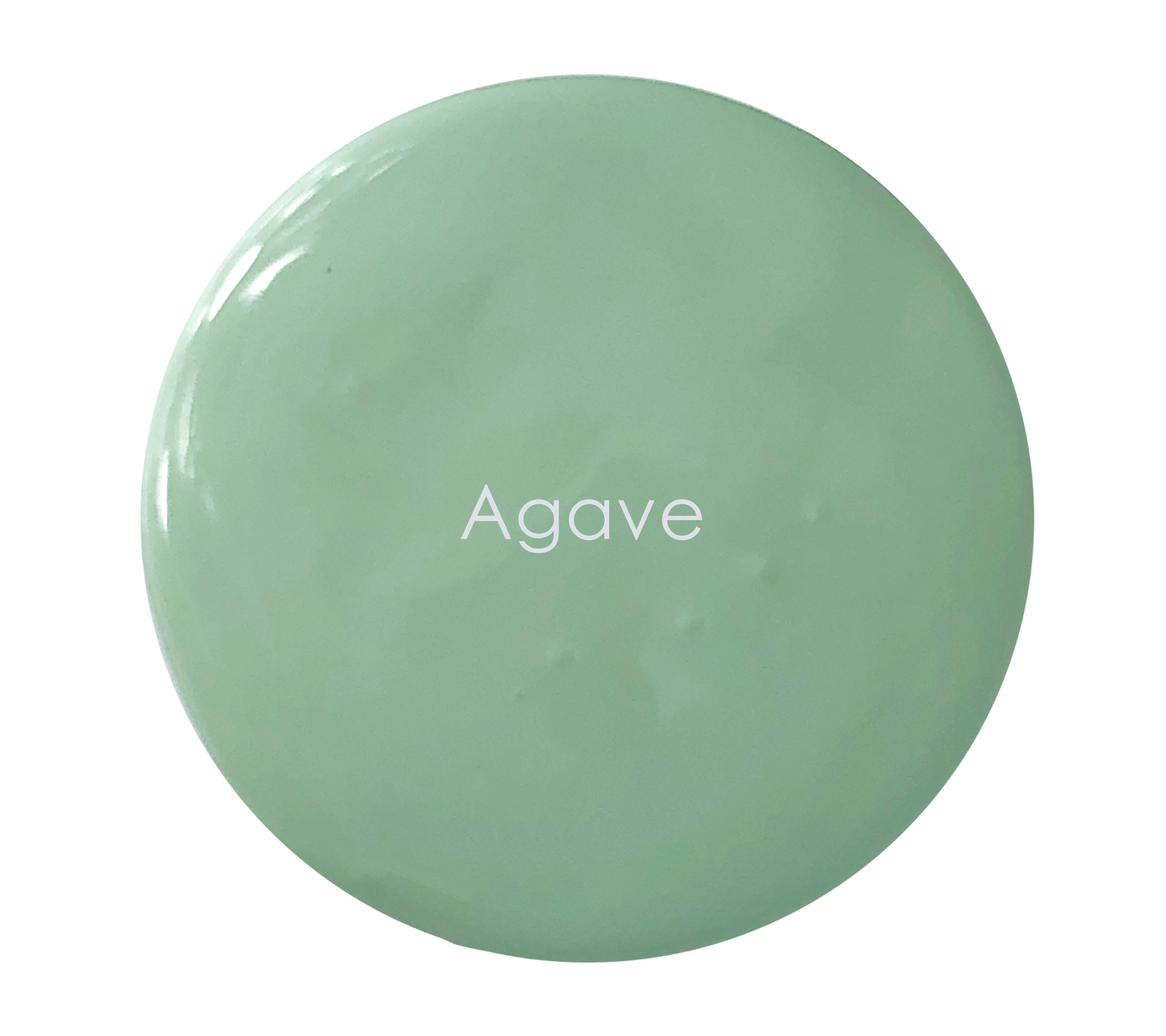 Agave wall paint swatch – soft green inspired by NZ agave plants