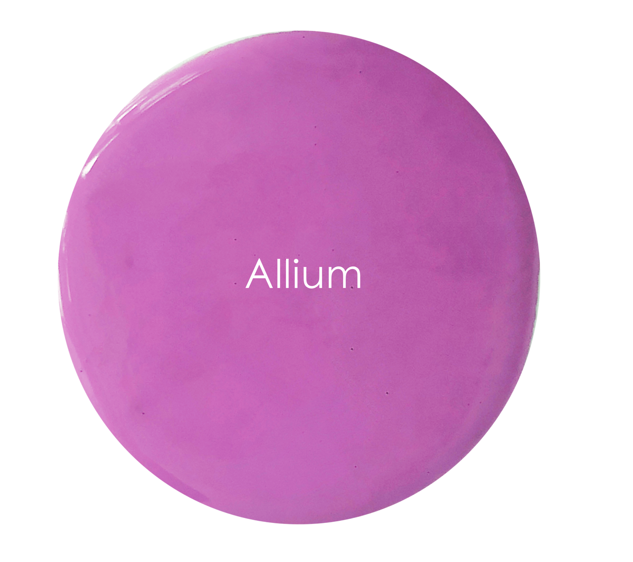 Allium wall paint swatch – vibrant purple pink artisan finish