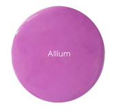 Allium wall paint swatch – vibrant purple pink artisan finish