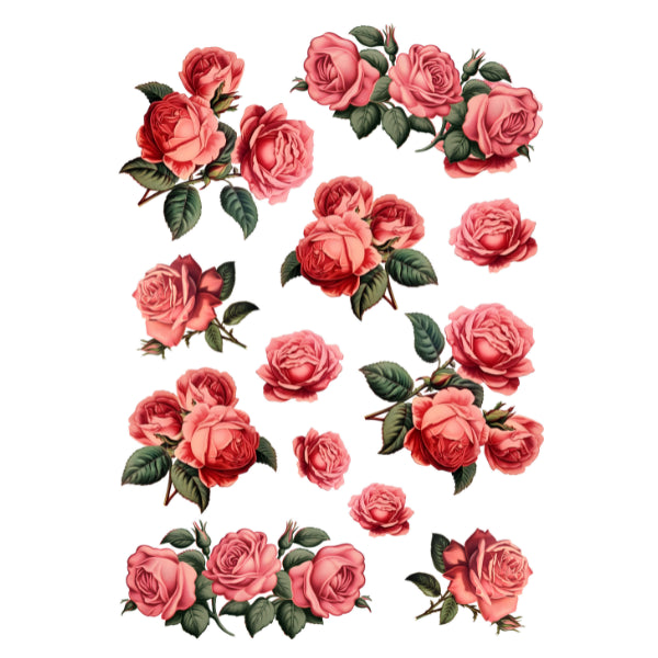 Antique Roses White Cloud Decor Transfer