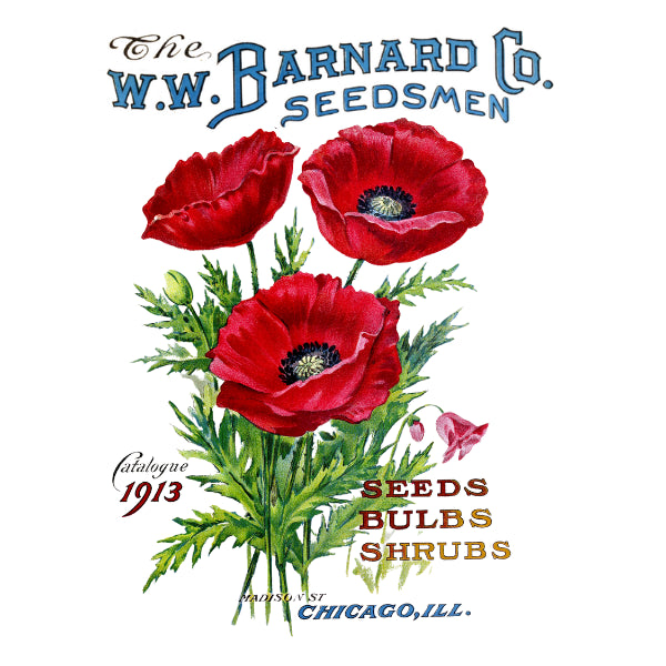 Vintage-style white cloud decor transfer for W.W. Barnard Co. Seedsmen featuring red poppies and text.