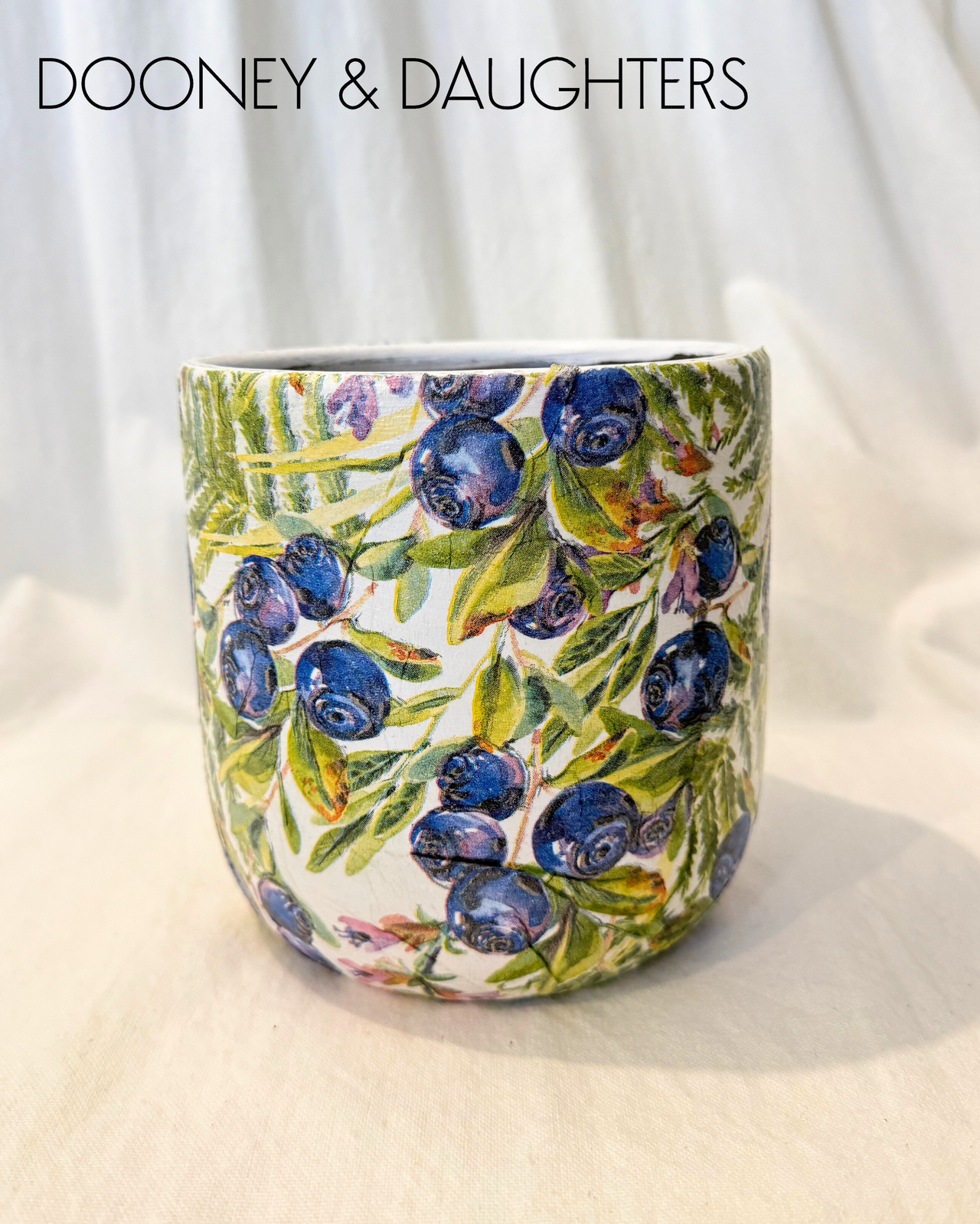 Medium Pot - Blueberries