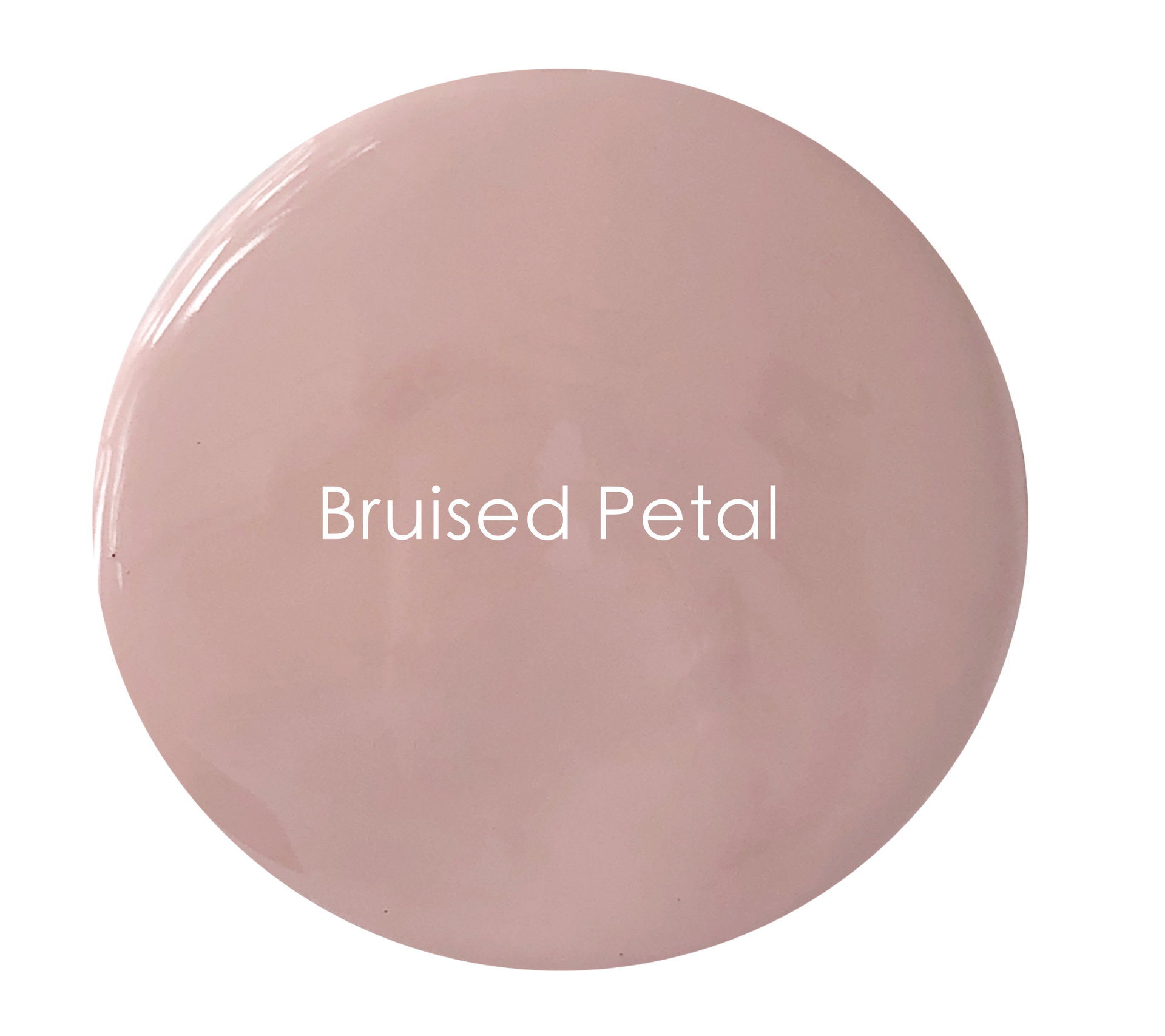 Artisan wall paint tin – Bruised Petal soft earthy pink