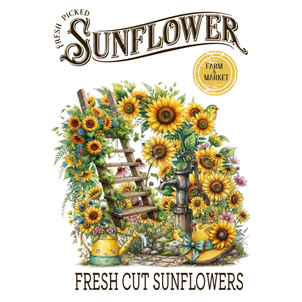 Farm Style - Farm Fresh Sunflowers 2