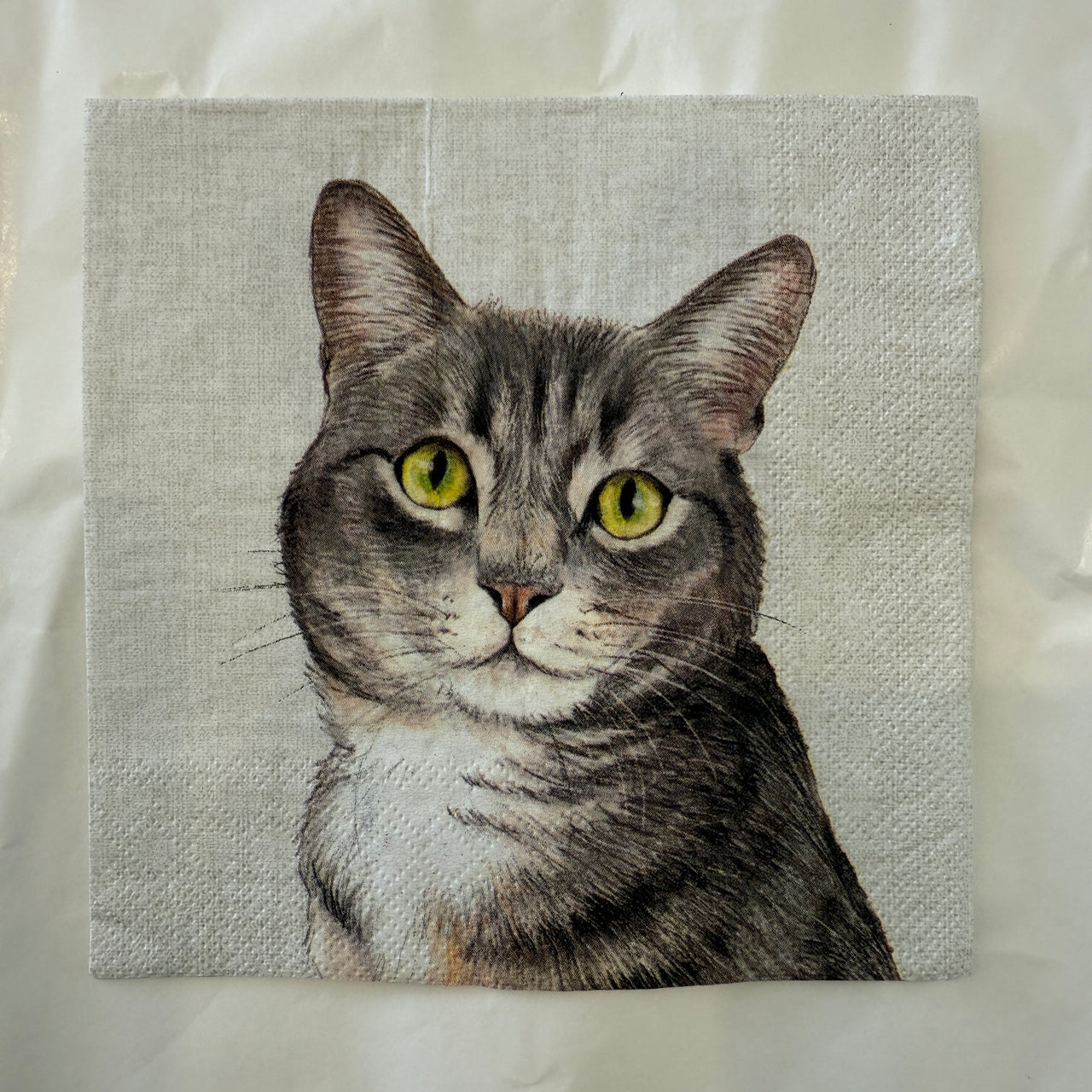 Napkin - Farm Cat