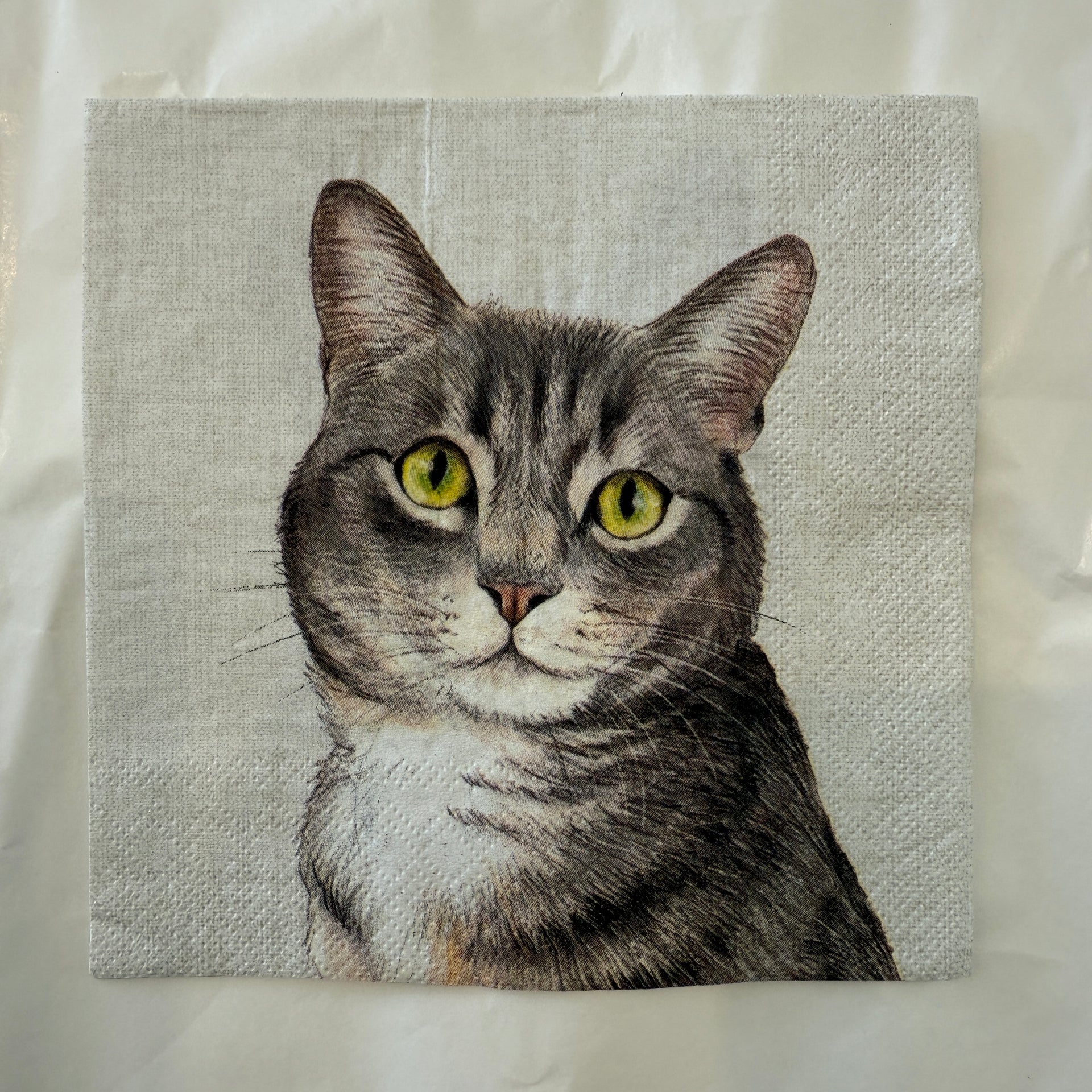 Napkin - Farm Cat