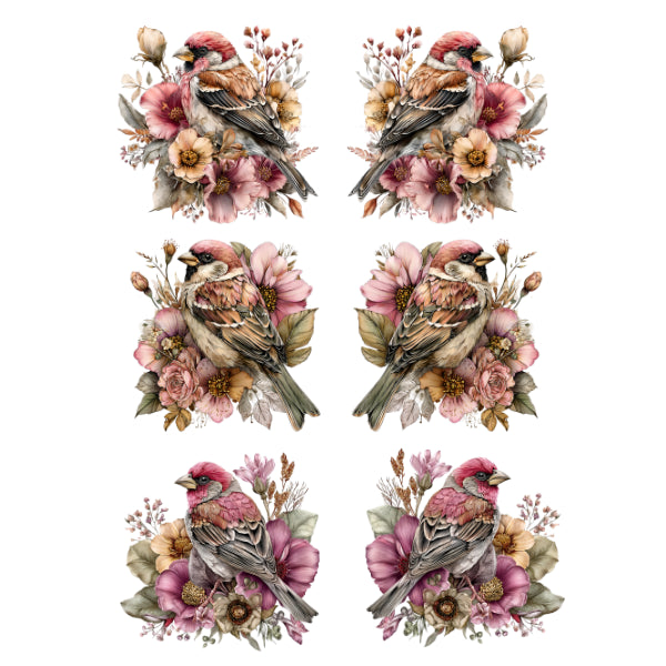 Bees, Birds & Insects - Floral Finch
