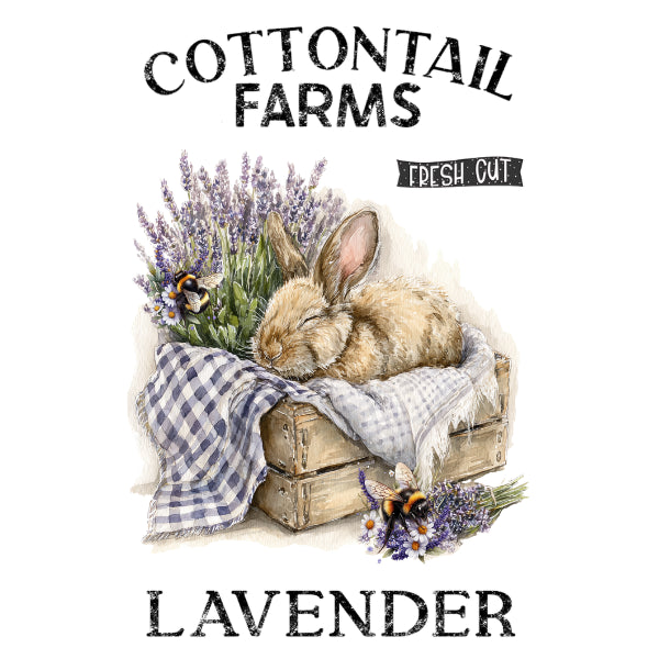 Lavender & Herb - Fragrant Blooms