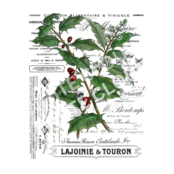 French Holly White Cloud Decor Transfer