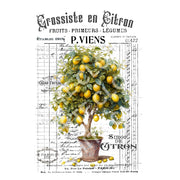 Grossiste En Citron White Cloud Decor Transfer