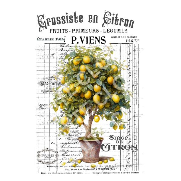 Grossiste En Citron White Cloud Decor Transfer
