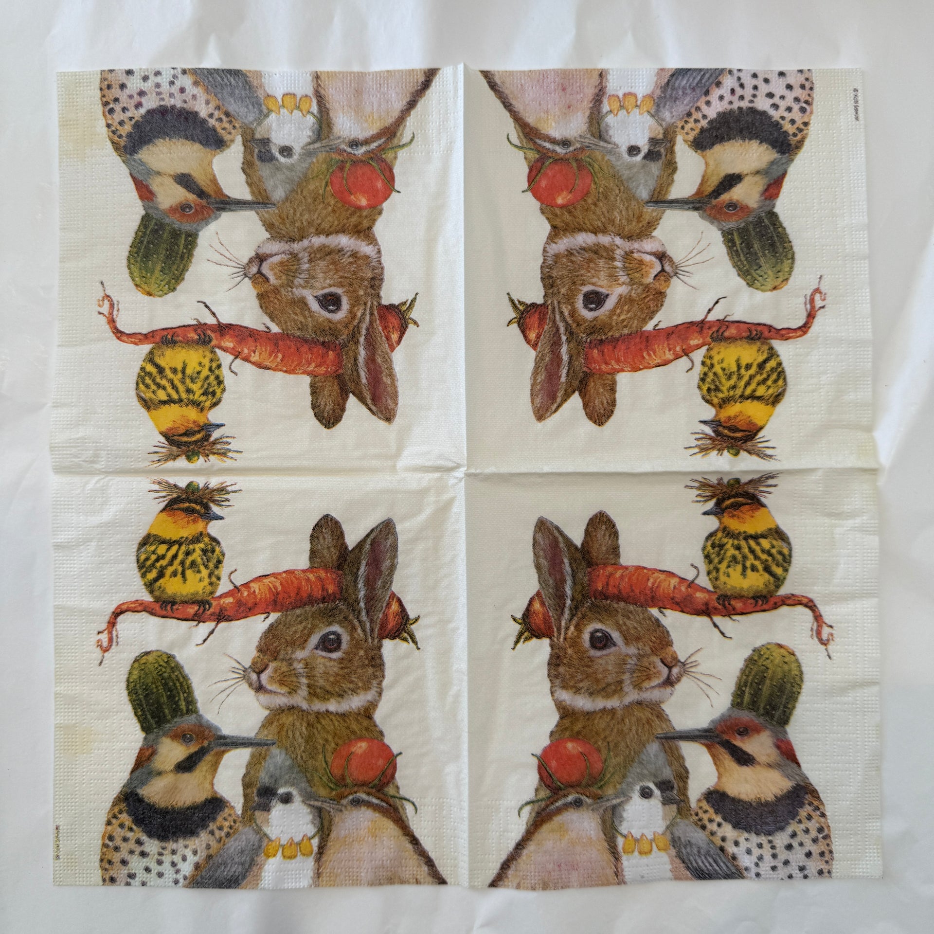 Napkin - Harvest Party
