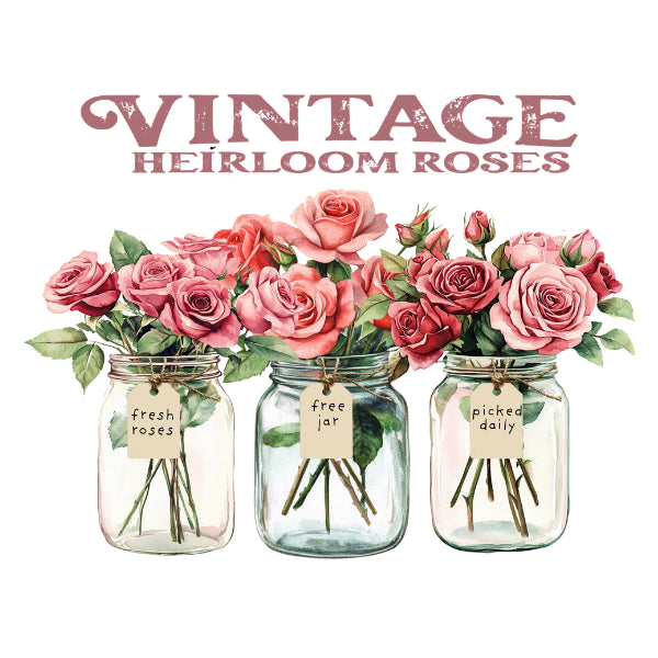 Flower Market - Heirloom Roses 3