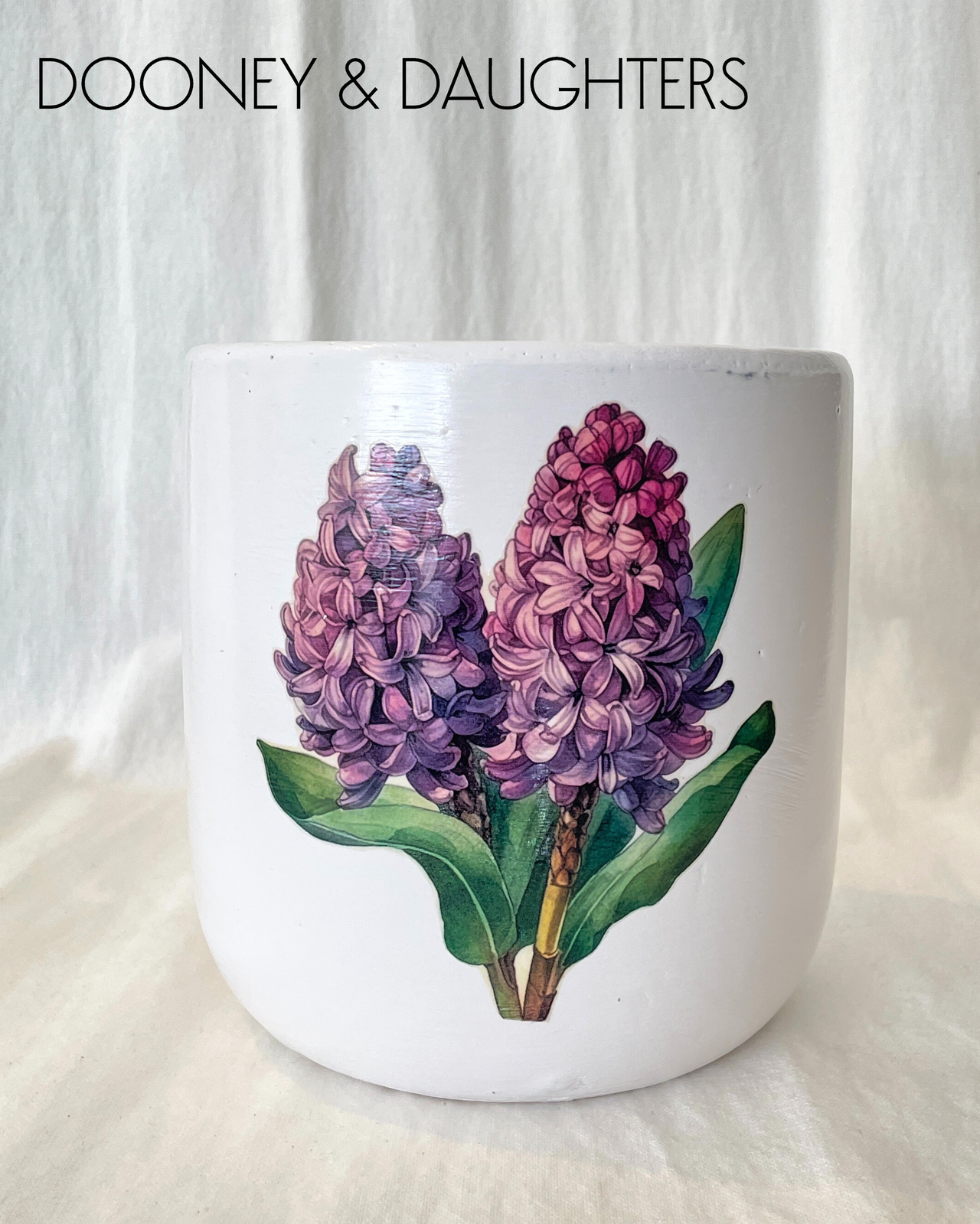 Large Pot - Hyacinth