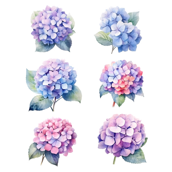 Hydrangea Set White Cloud Decor Transfers