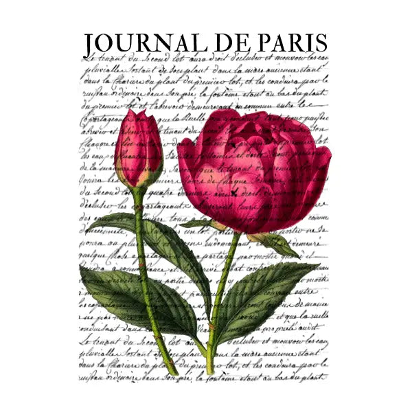 Journal De Paris II White Cloud Decor Transfer