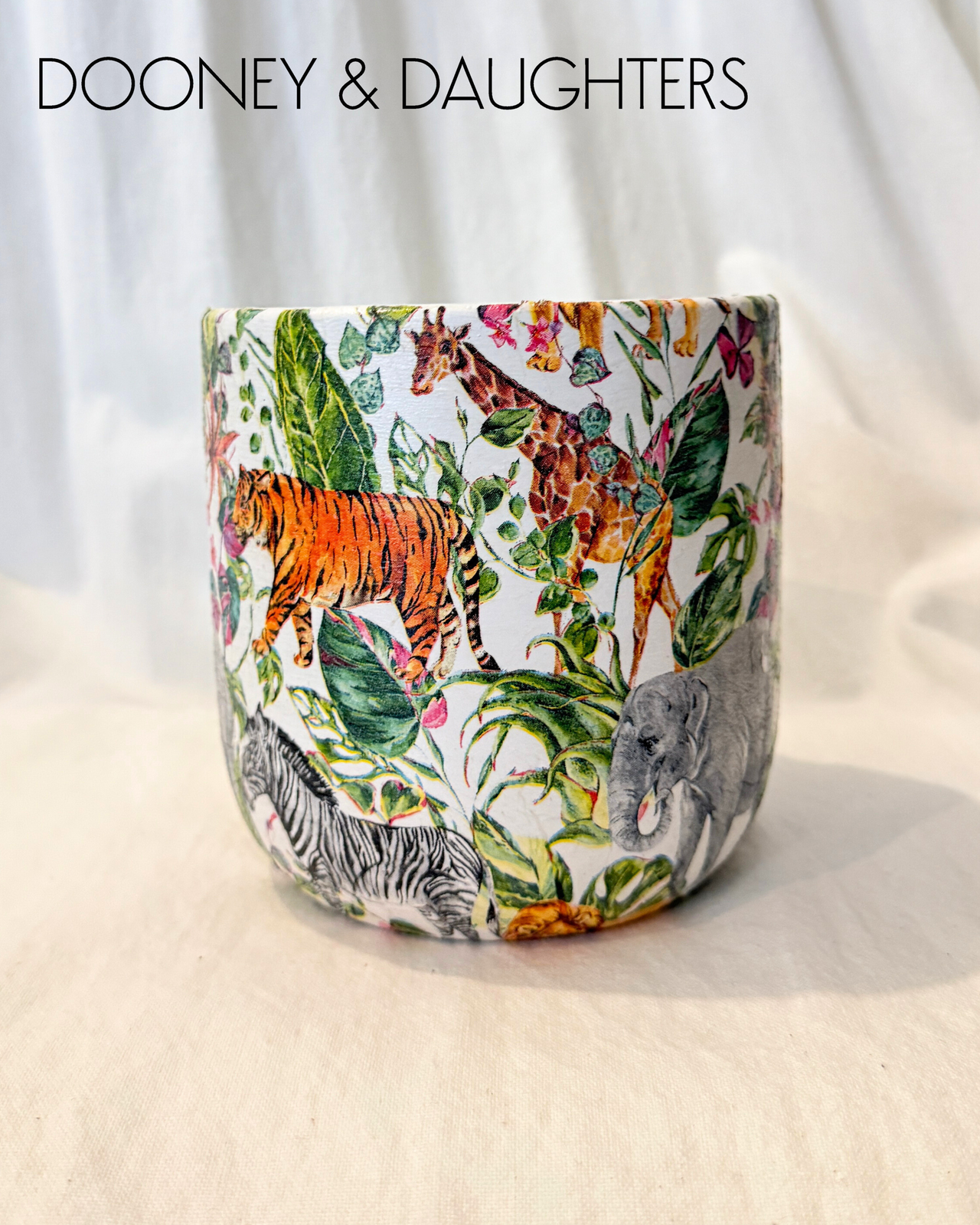 Medium Pot - Jungle