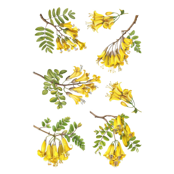 Kowhai White Cloud Decor Transfer