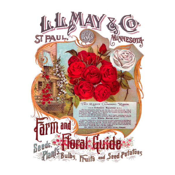 L.L. May & Co White Cloud Decor Transfer