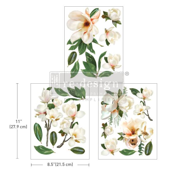 ReDesign Transfer Middy - La Gran Magnolia