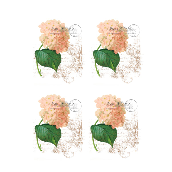 La Hortensia 1 White Cloud Decor Transfer