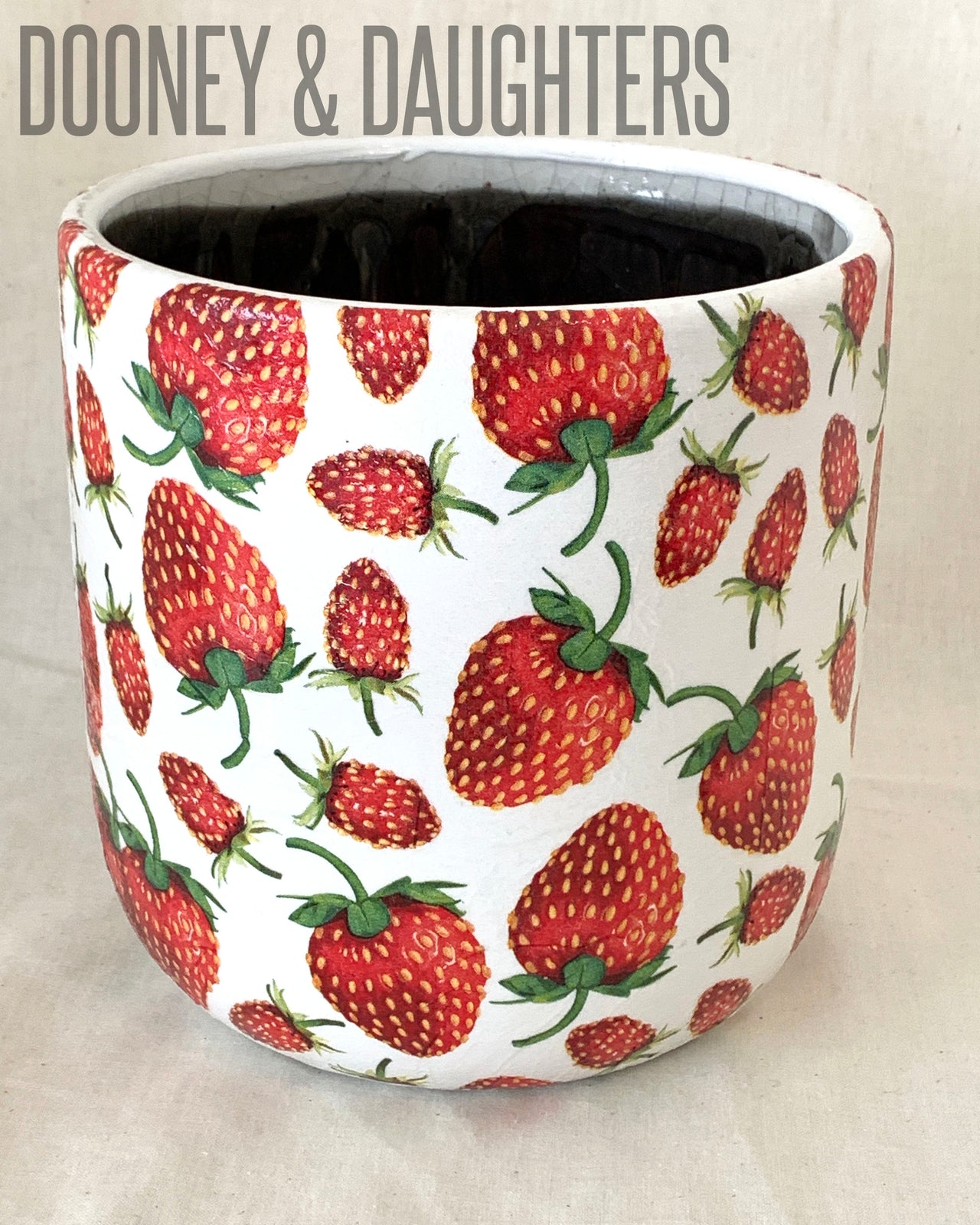 Large Pot - Strawberry Seeds
