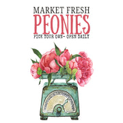 Market Fresh Peonies White Cloud Decor Transfer