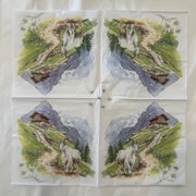 Napkin - Mountains Are Calling