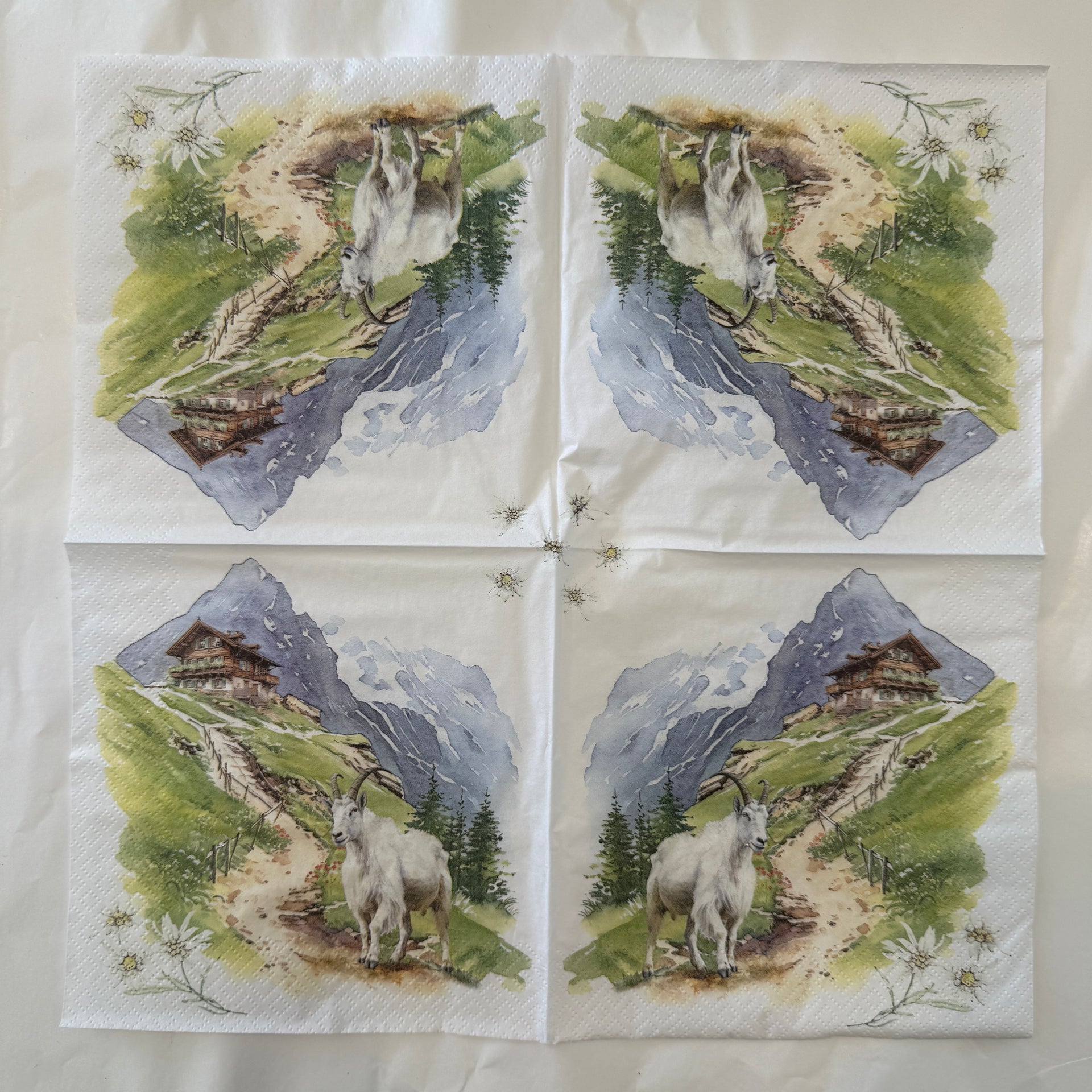 Napkin - Mountains Are Calling