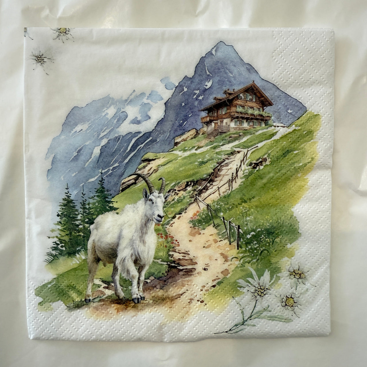 Napkin - Mountains Are Calling