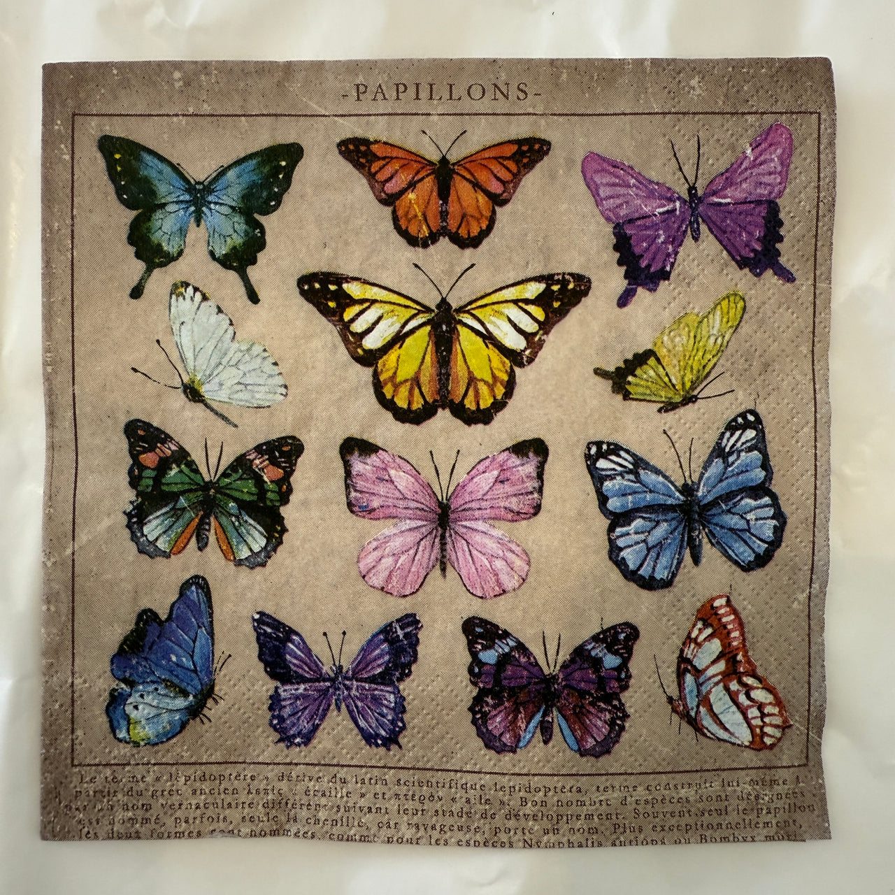 Napkin - Papillons