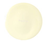 Light cream matte wall paint texture – Peony colour detail