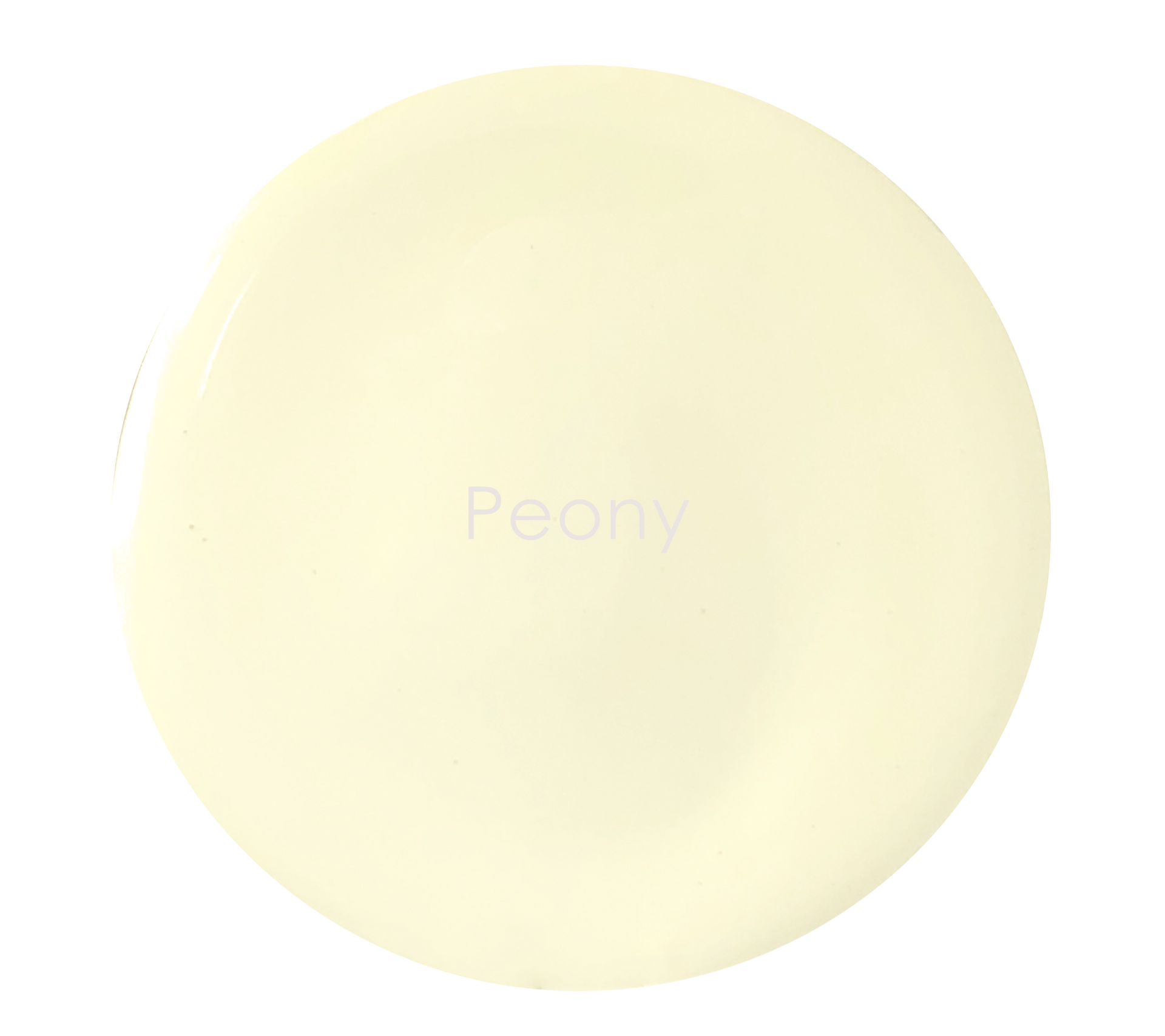 Light cream matte wall paint texture – Peony colour detail