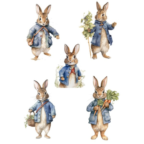 Peter Rabbit White Cloud Decor Transfer