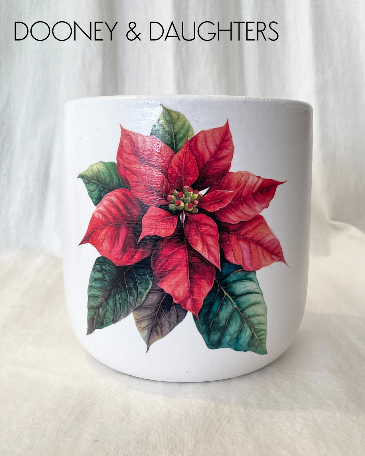 Large Pot - Poinsettia